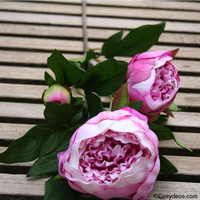 pivoine artificielle