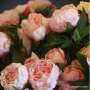 Pivoines artificielles Roses Pastel