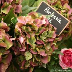 hortensia artificiel Vert