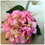 Hortensia artificiel couleur Rose