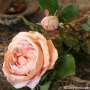 rose ancienne artificielle