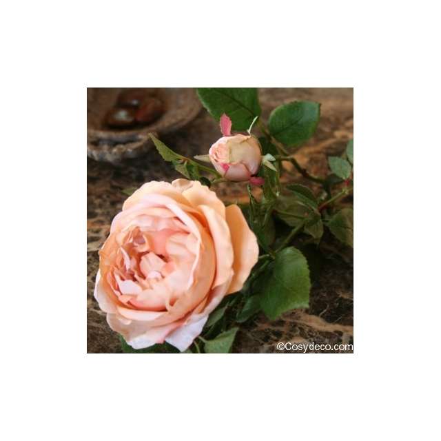 rose ancienne artificielle