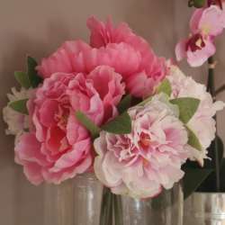 Bouquet Pivoines Roses Cosy