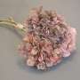 3 Hortensias d'automne rose Shabby Chic