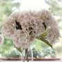 Hortensia Artificiel Blanc automne