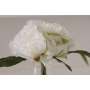 Bouquet de Pivoines Blanches artificielles