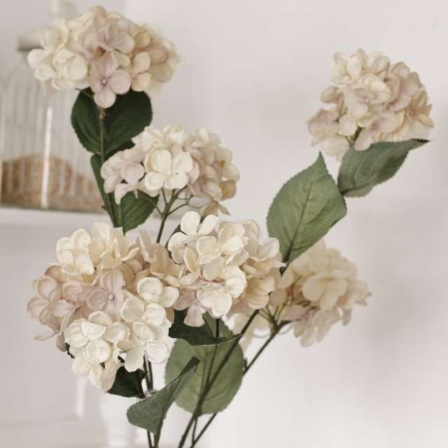 Hortensia creme shabby