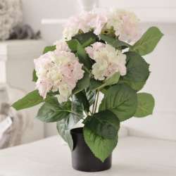 Pot d'Hortensias Artificiels Rose Shabby Chic 