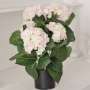 Pot d'Hortensias Artificiels Rose Shabby Chic 