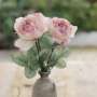 Roses anciennes pour Bouquet Romantique