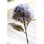 Hortensia d'automne bleu Shabby Chic