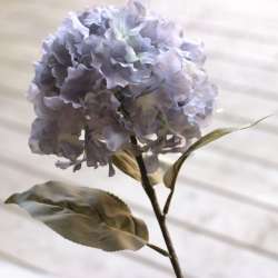 Hortensia d'automne bleu Shabby Chic