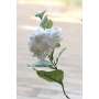 Hortensia Artificiel Blanc Cosy