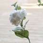 Hortensia Artificiel Blanc Cosy