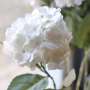 Hortensia Artificiel Blanc Cosy