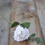 Hortensia Artificiel Blanc Cosy