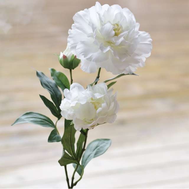 pivoine blanche artificielle